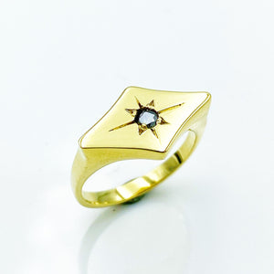 Vega Signet