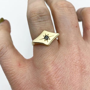 Vega Signet